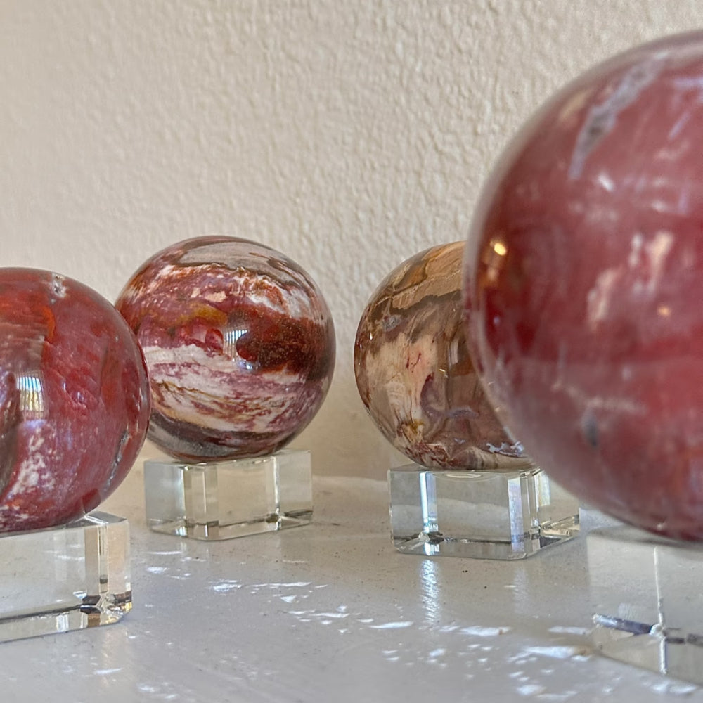 Petrified wood sphere product view