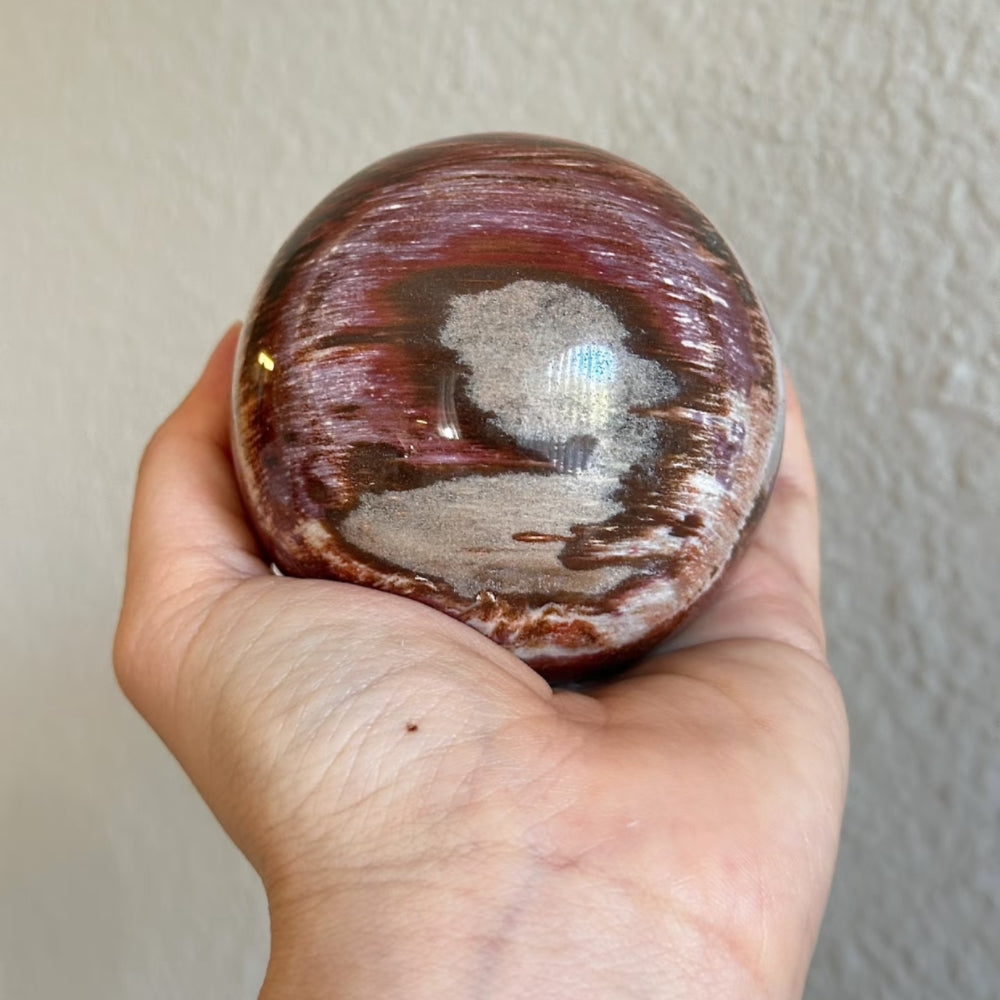 Petrified wood sphere close-up